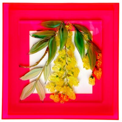 Plexiglasschilderij Bloem 6
