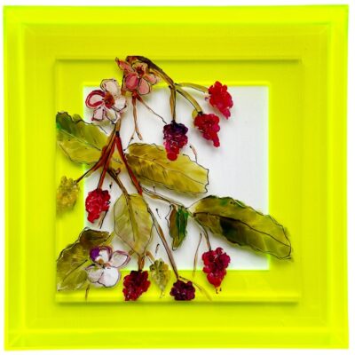Plexiglasschilderij Frambozen
